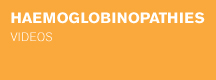 Videos hemoglobinopatias / Haemoglobinopathies videos